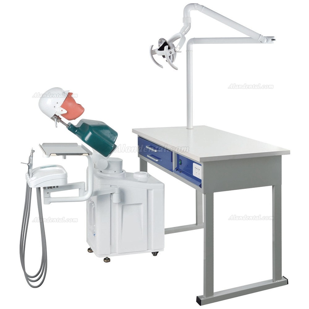 Jingle JG-A1 Dental Students Simulation Unit Compatible Nissin Kilgore/Frasaco